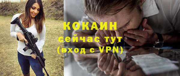 дживик Белокуриха