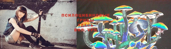дживик Белокуриха