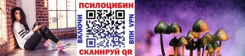 Псилоцибиновые грибы Psilocybe  Купить закладки  Красный Холм 