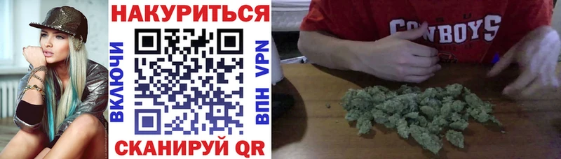 Купить закладки  Красный Холм  Канабис планчик 